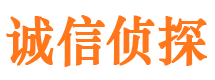 双阳市调查公司